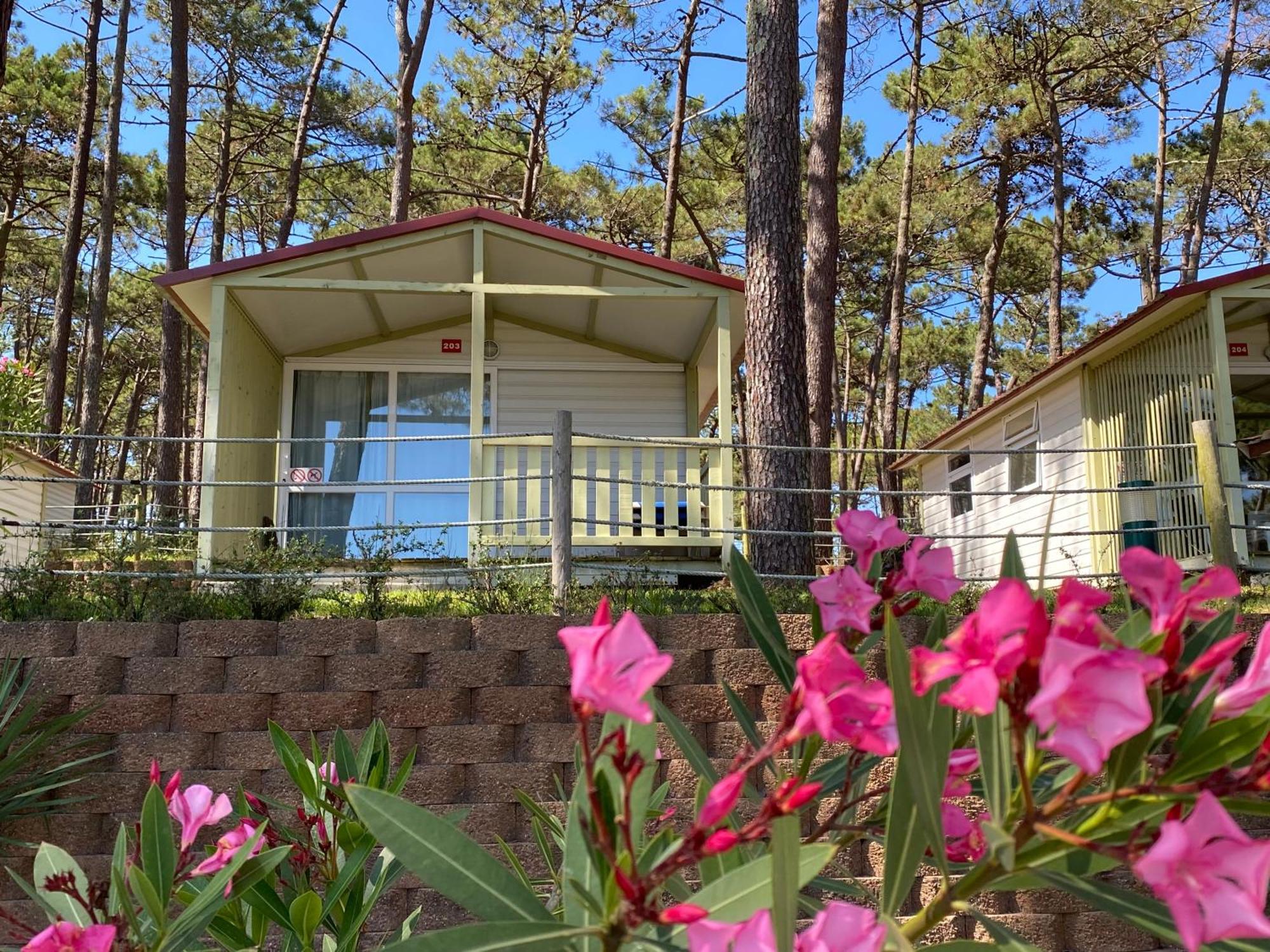 Parque De Campismo Orbitur Valado Hotel Nazare Bagian luar foto